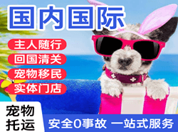 建三江湿地机场快运国际宠物托运 【国